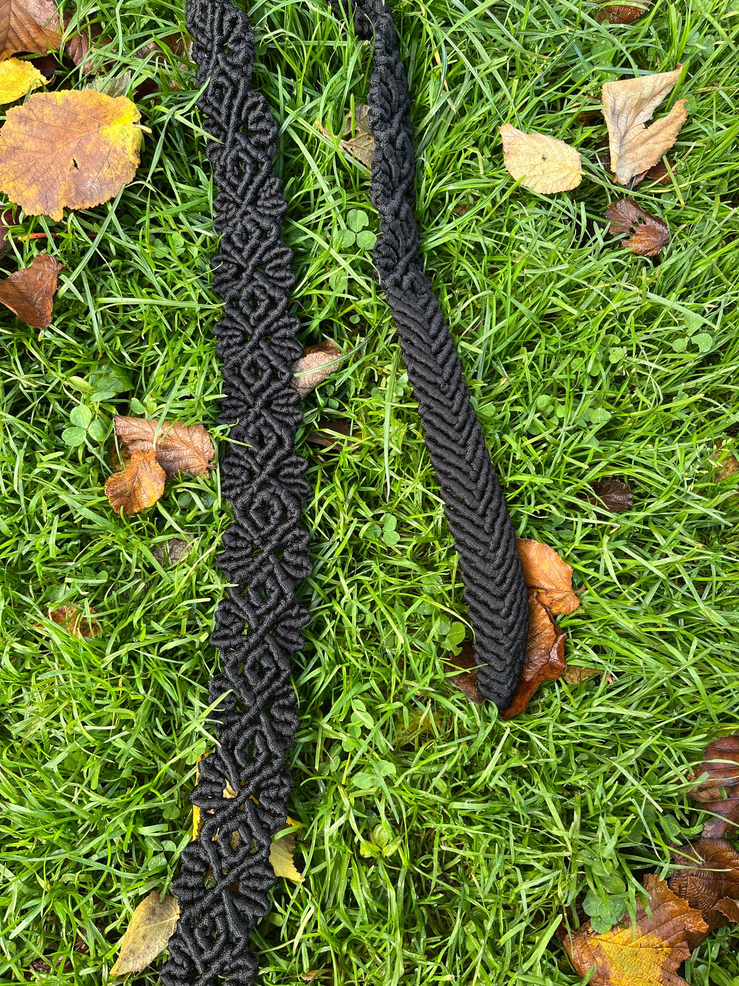 Pásek černé listy